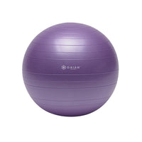 Total Body Balance Ball Kit 55cm