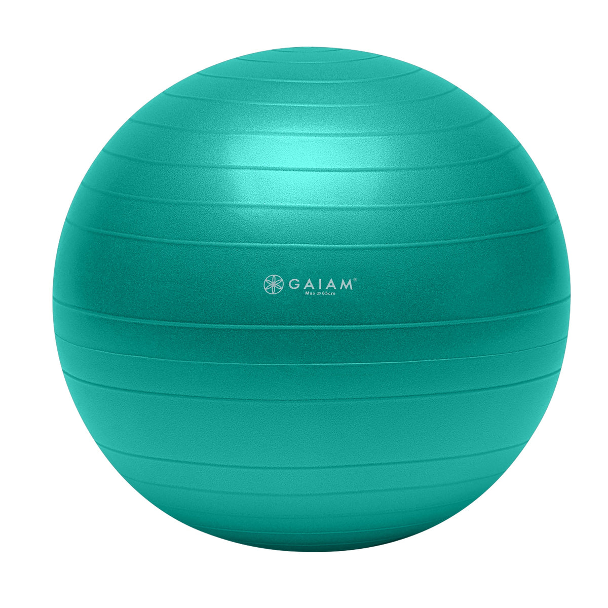 Total Body Balance Ball Kit 65cm