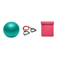 Fitness Bundle - Balance Ball (65cm), Xertube (Medium), Fitness Mat (Pink)
